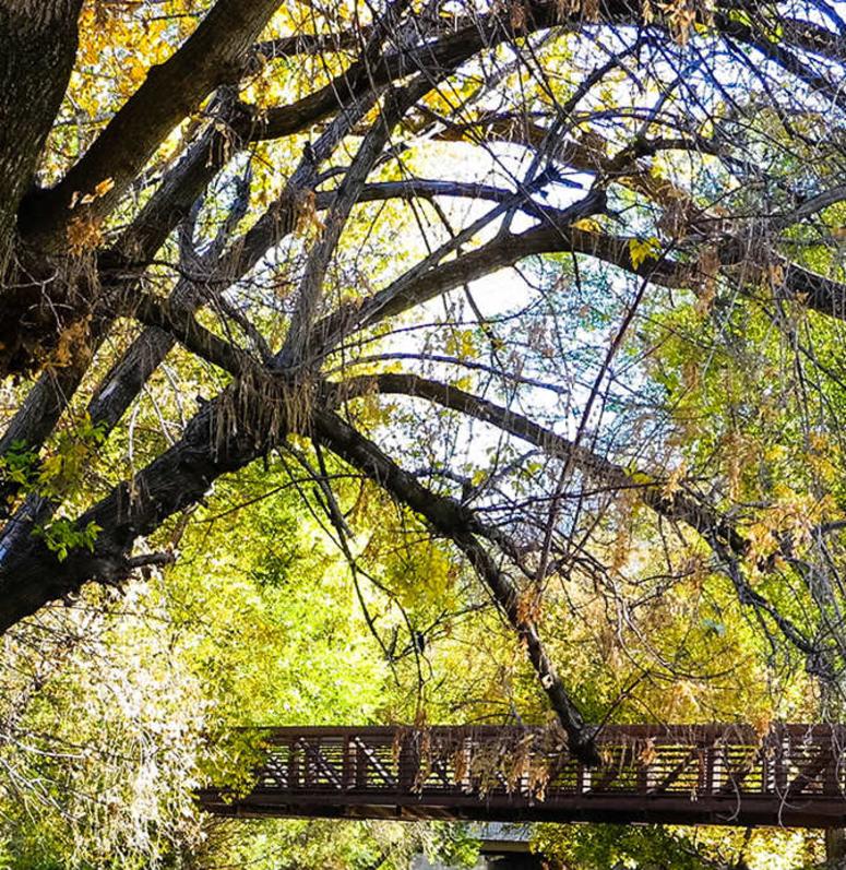 Ogden Hiking Trails