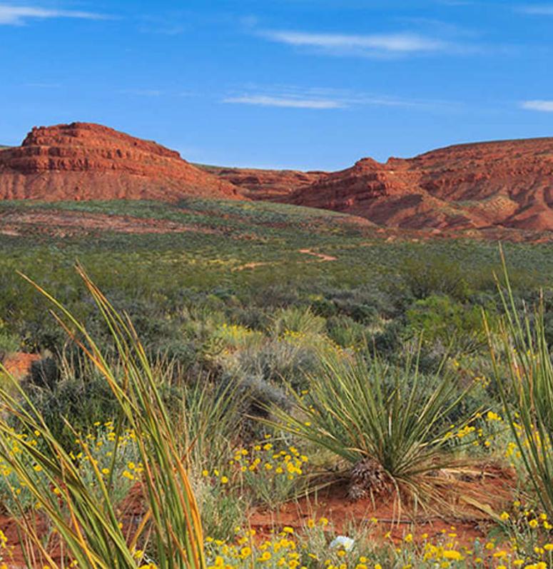 St. George Historic Sites