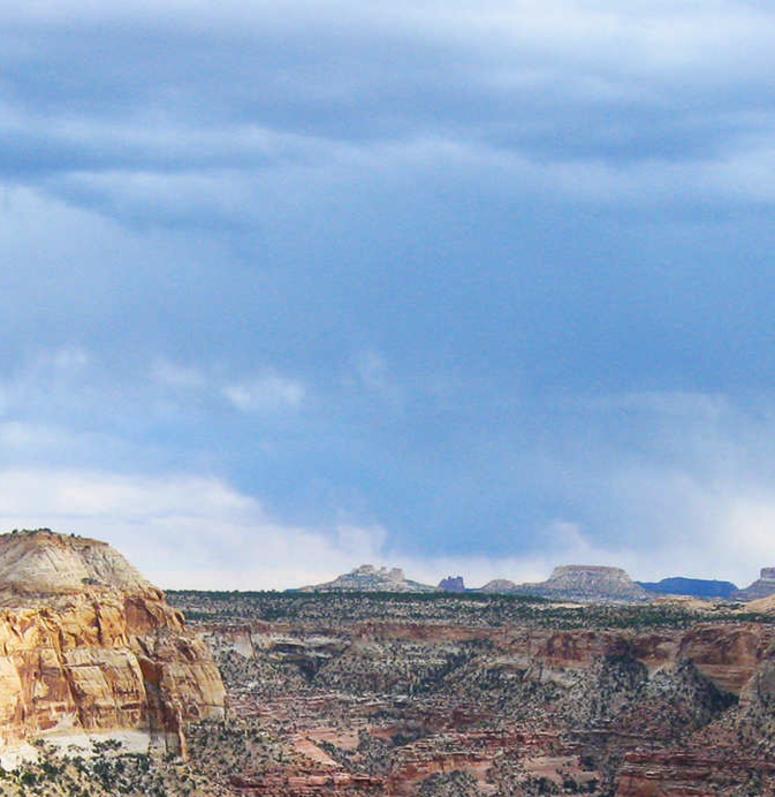 The Wedge Overlook