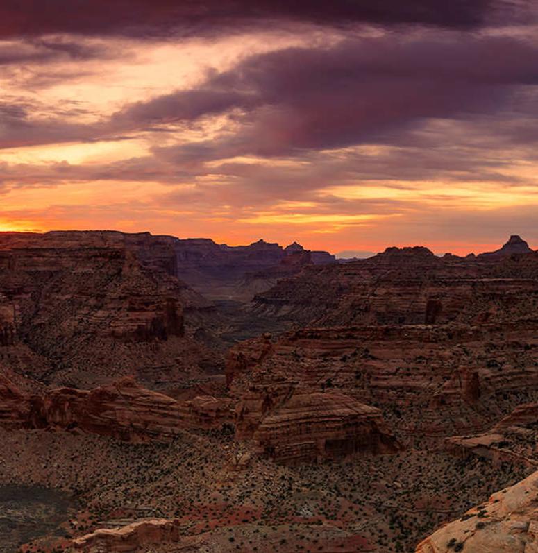Wedge Overlook Trail