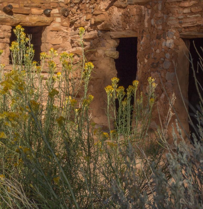 Anasazi State Park