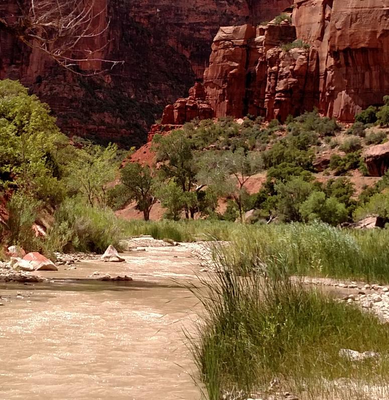 Virgin River Hero