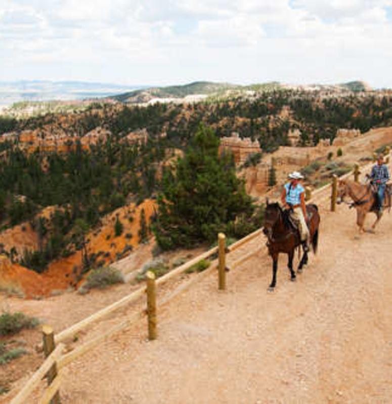 Bryce Canyon Tours & Guides Hero Placeholder