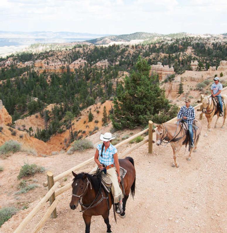 Horseback Riding Deals Hero Placeholder