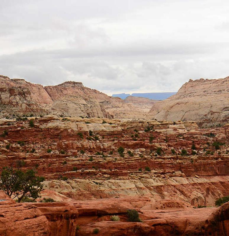 Cassidy Arch Trail