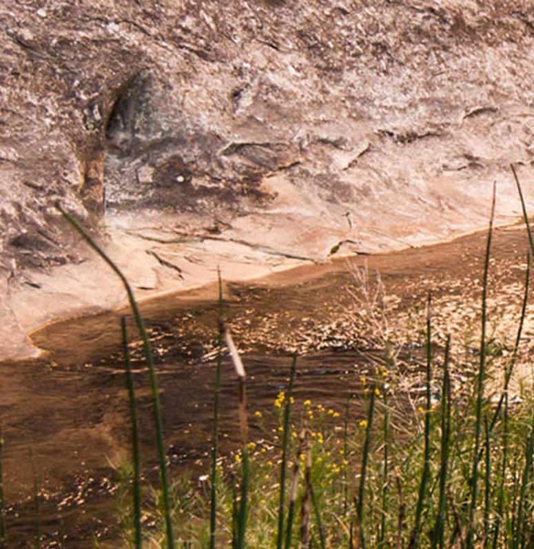 Burro Wash