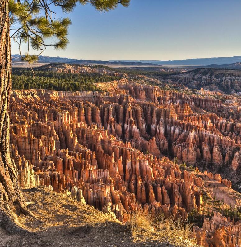 Bryce Canyon Deals and Packages