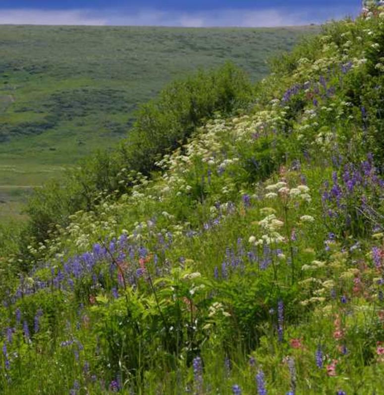 Sanpete Valley