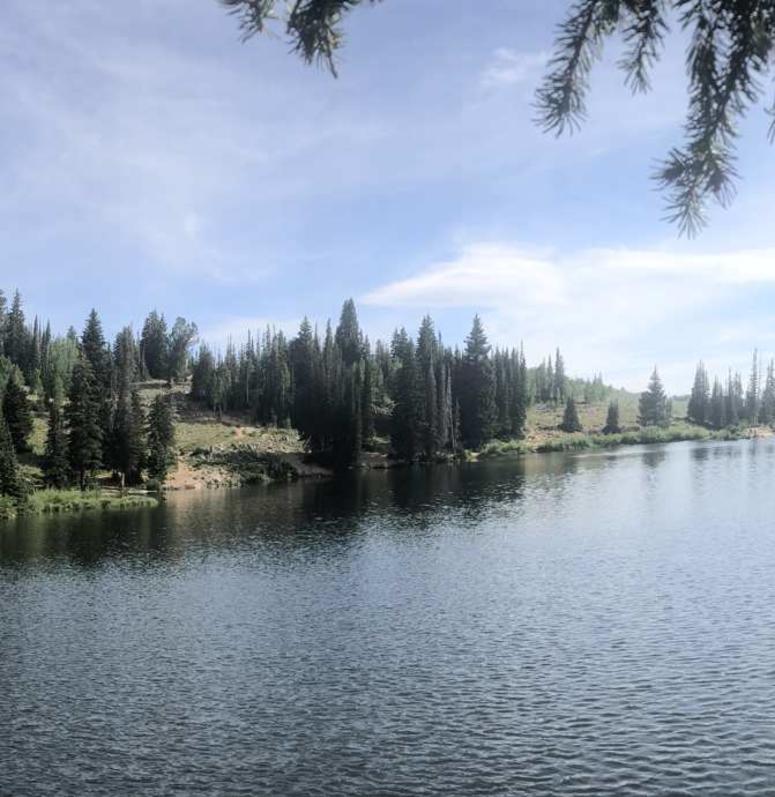 Bloods Lake Trail