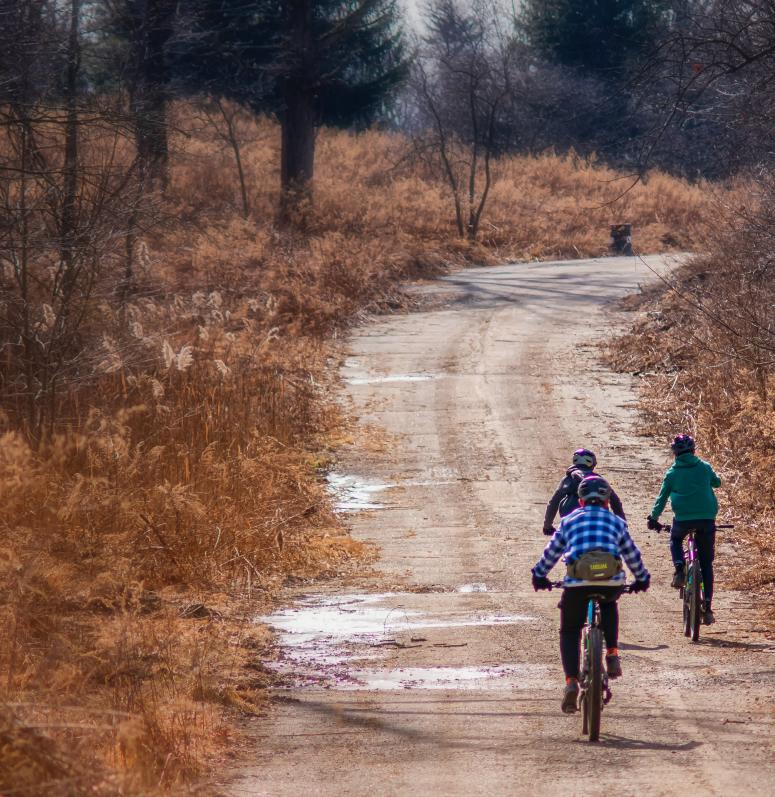 Mountain biking
