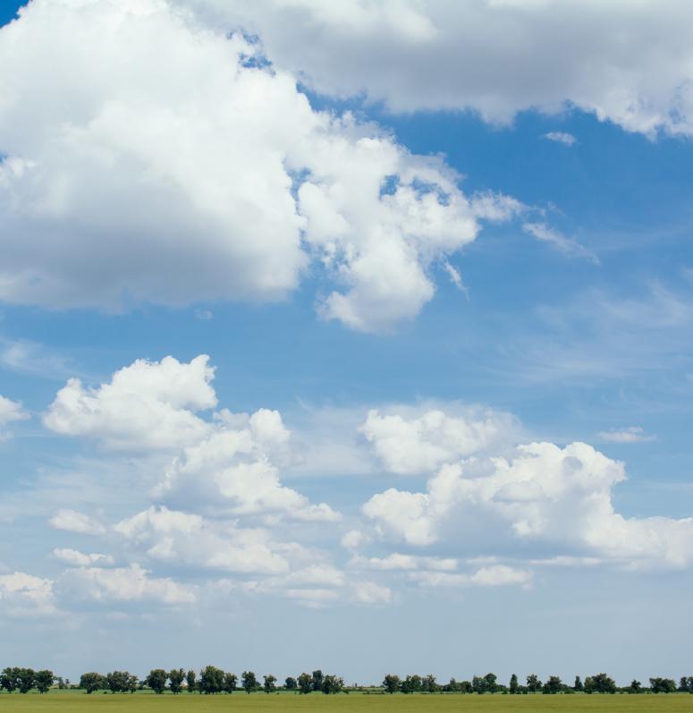 Sky