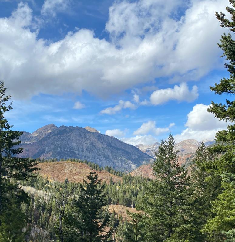 Alpine Loop Scenic Drive