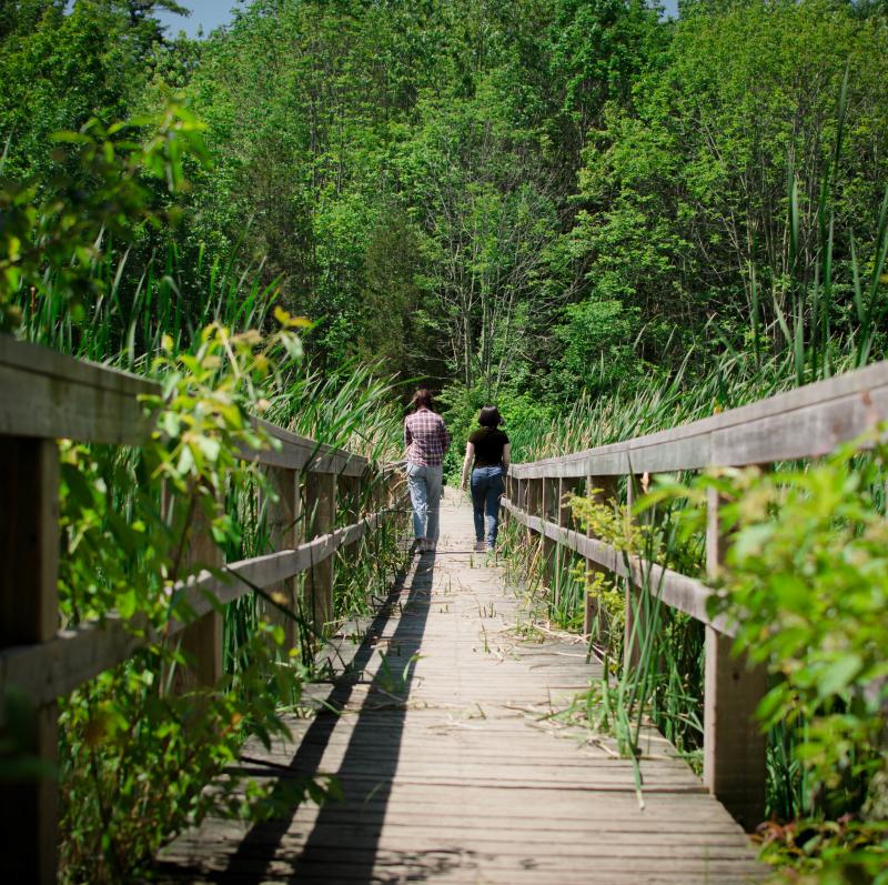 Positioning Selkirk Park Loop