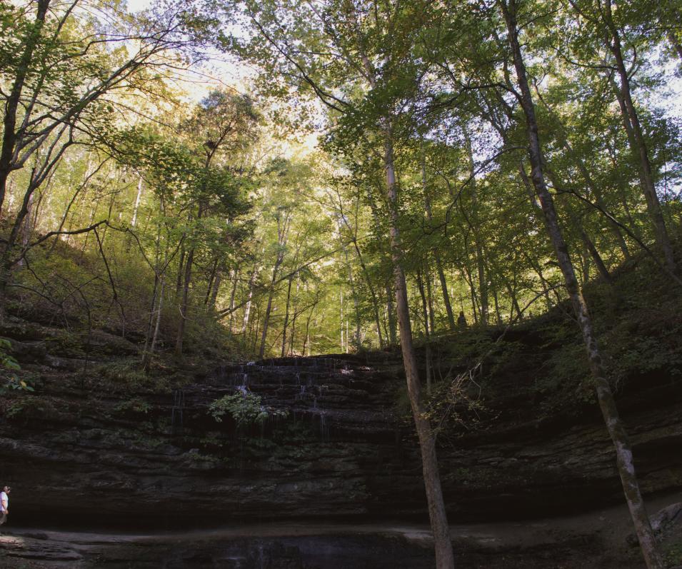 Stillhouse Hollow Falls