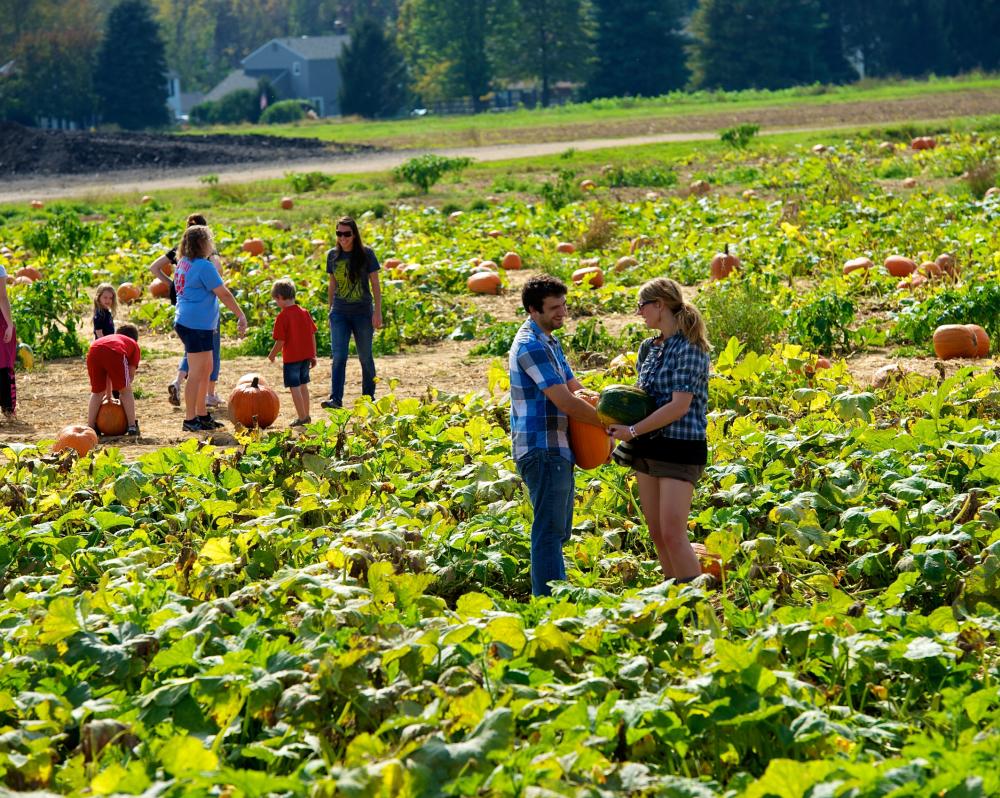 Shady Brook Farm