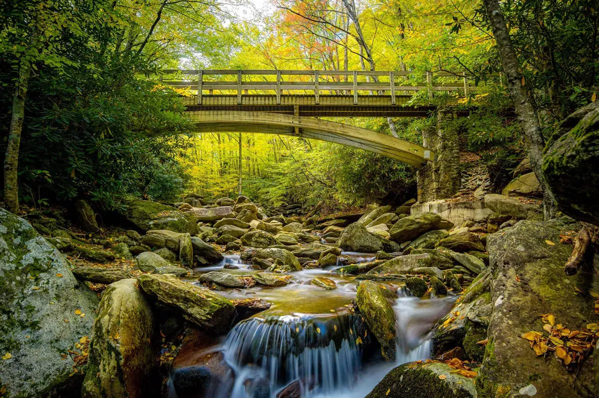 From the perspective of a rocky creek bed with a small stream, a wooden pedestrian bridge can be seen amongst bright green leaves in a mountain forest.