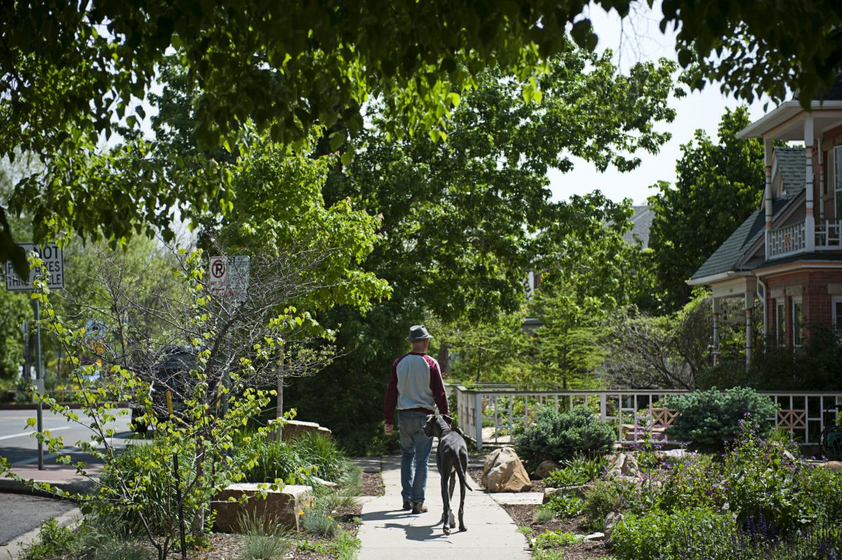 Man Walking Boulder Neighborhood