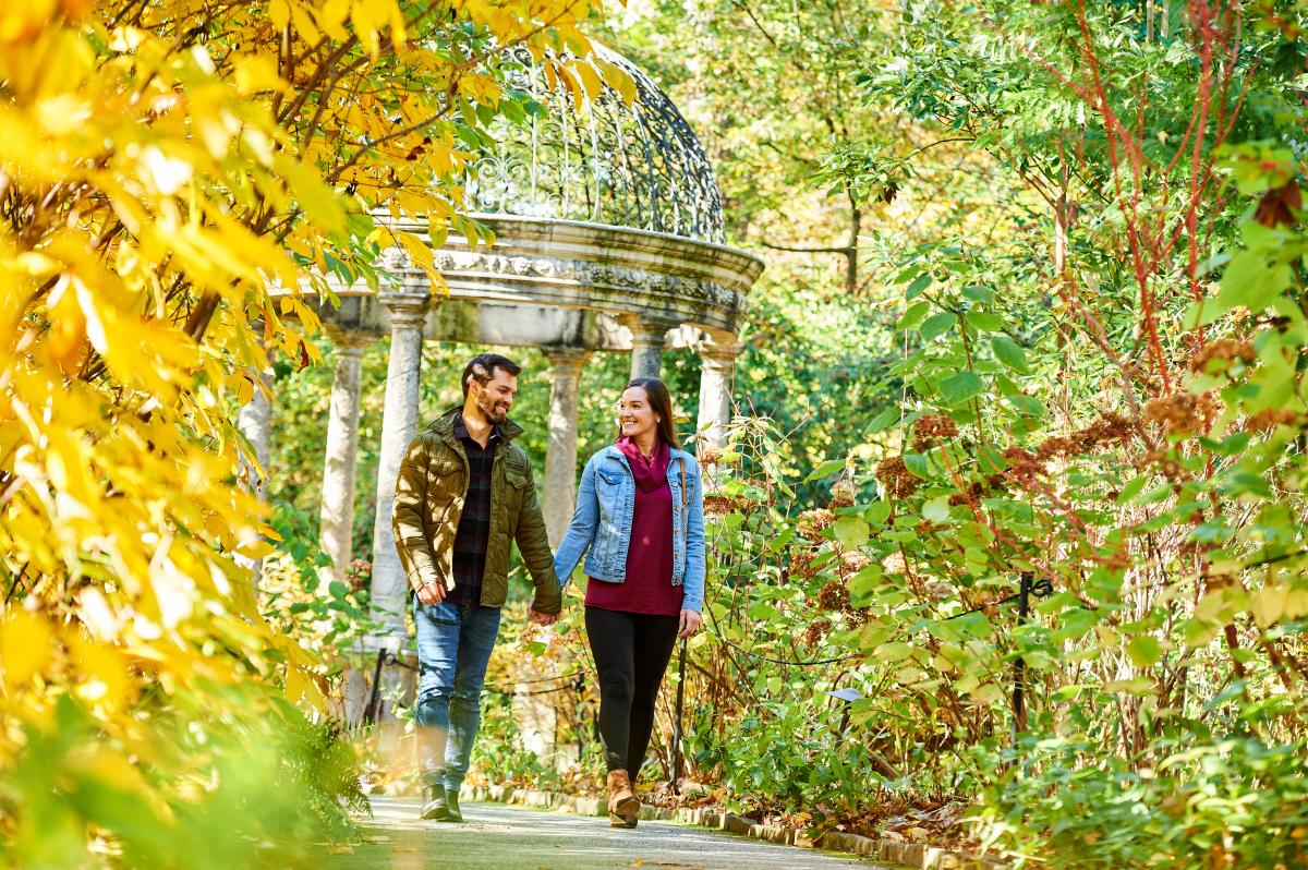 Longwood Fall