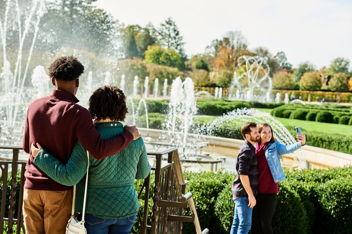 Fall Fountains