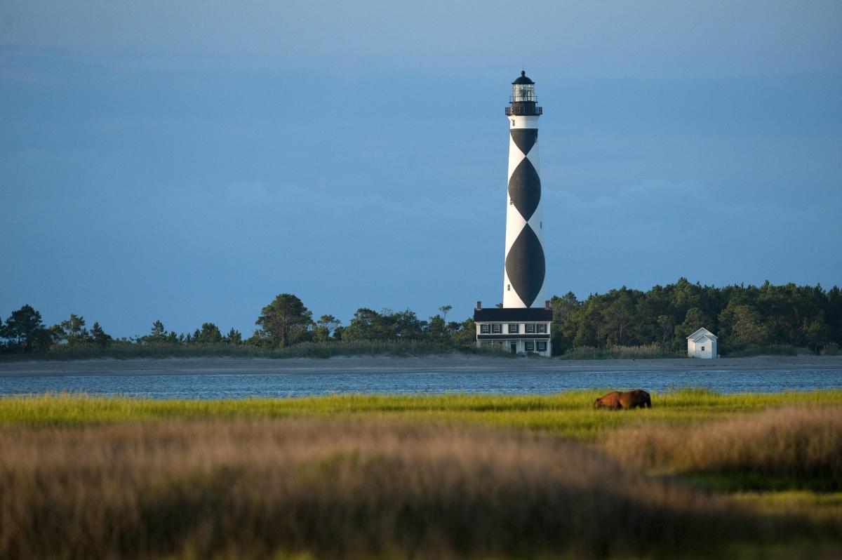 Cape Lookout - Lighthouse with Horse