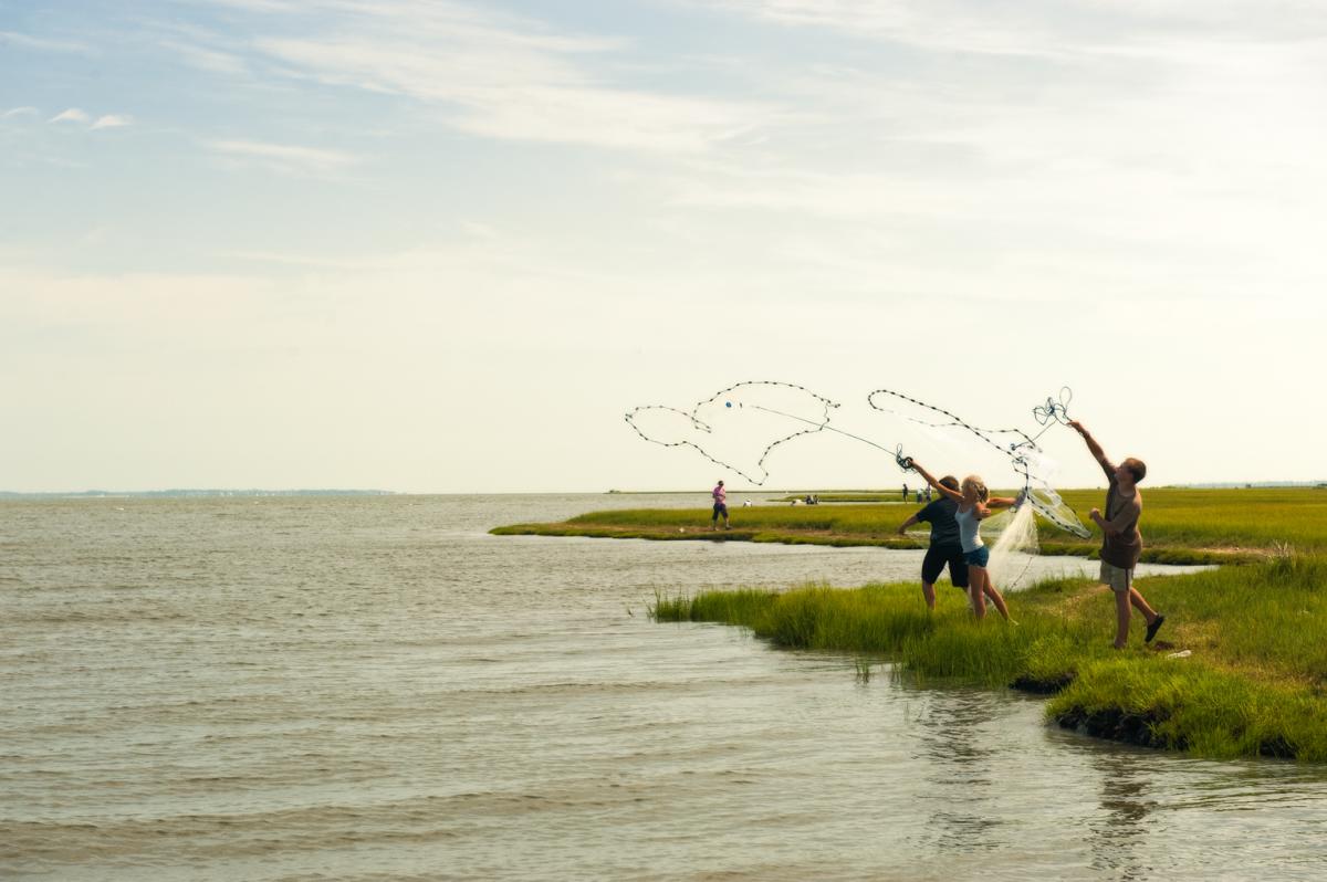 Casting Nets