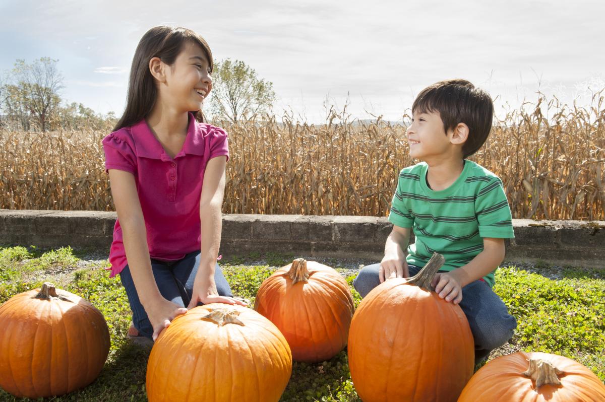 Boiling Springs Pumpkins