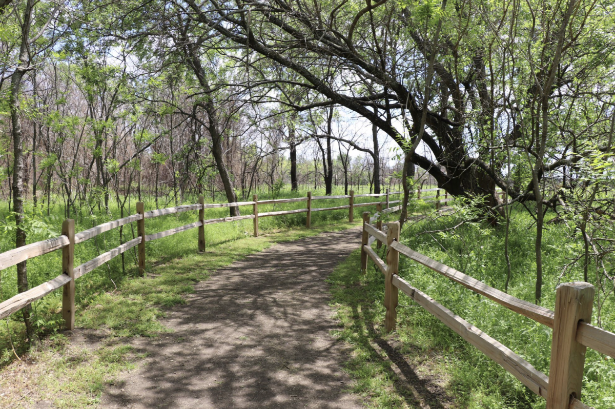 Grand Park Frisco