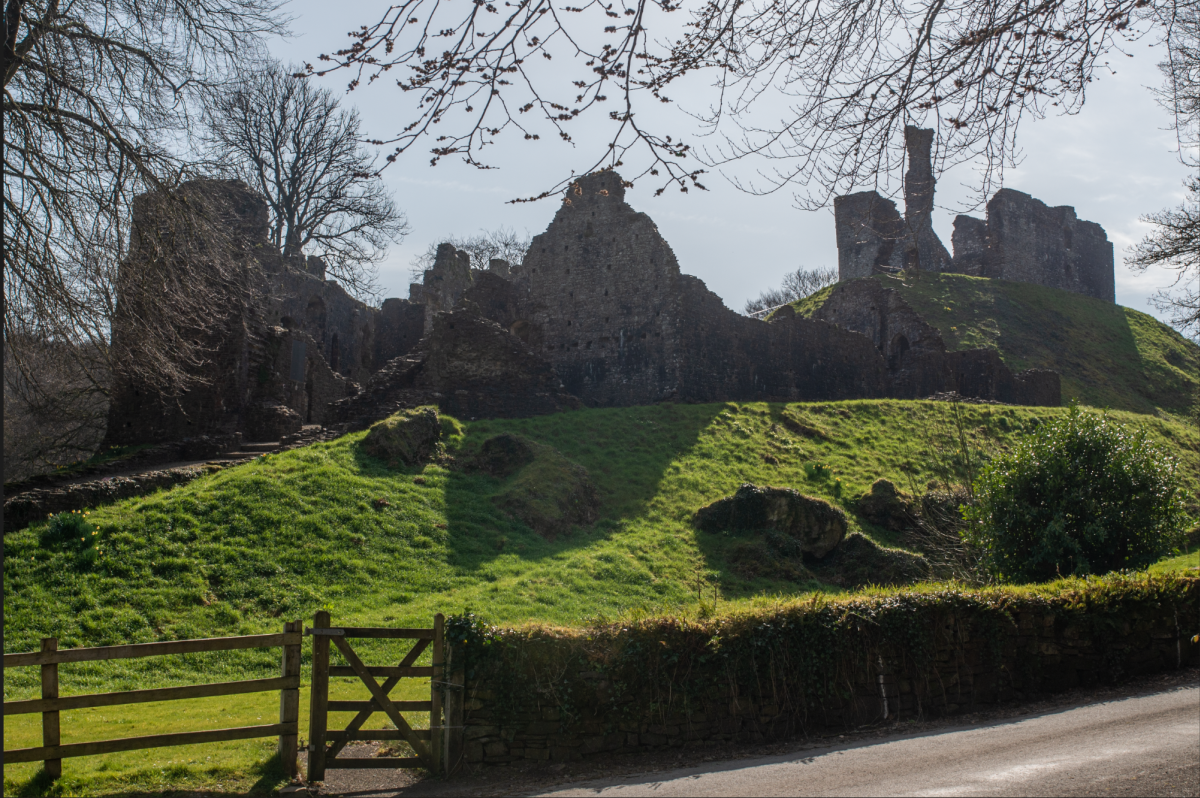 Ruins of an ancient stone castle sit atop a grassy hill under a clear blue sky. Bare tree branches frame the scene, evoking a sense of history and solitude.