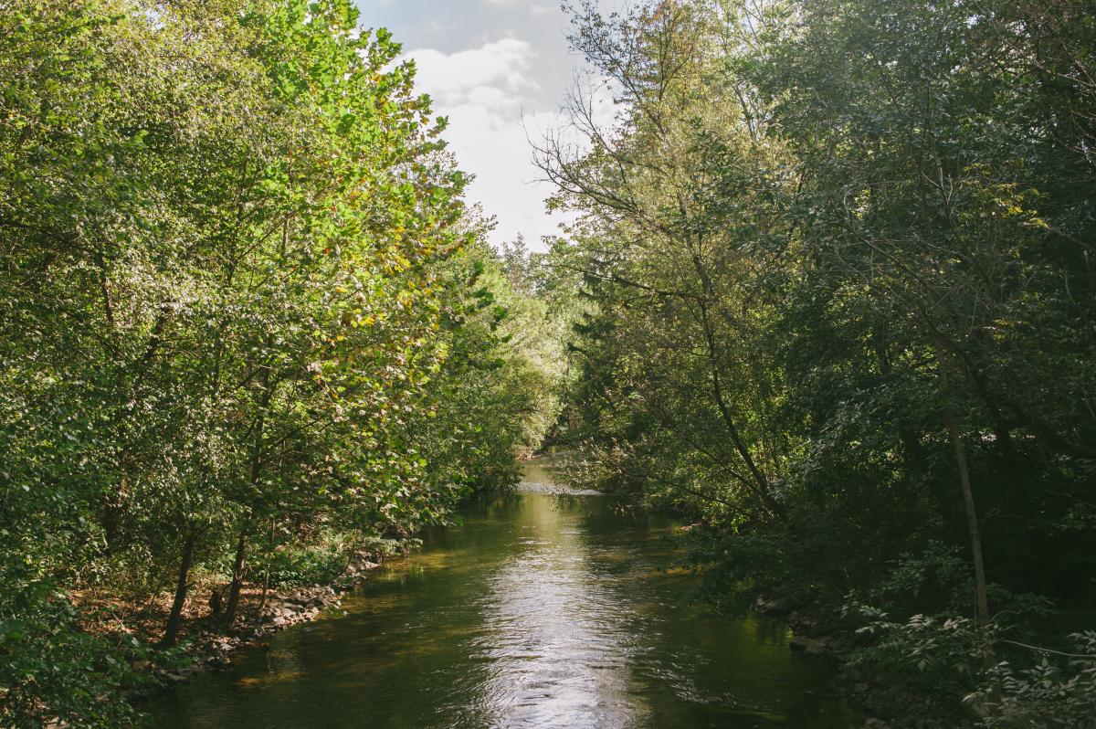 A summer view of the Little Lehigh Creek at Dorothy Rider Pool Wildlife Sanctuary