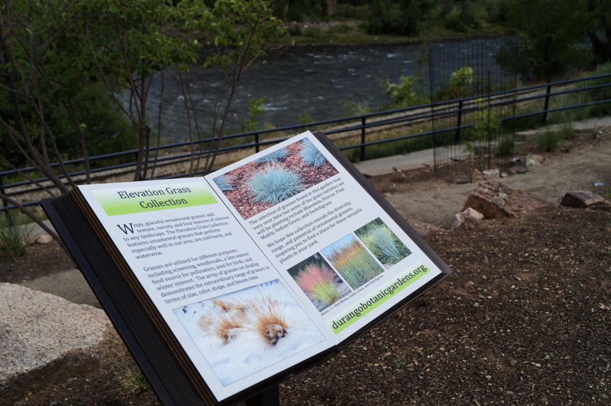 Botanical Gardens During Summer