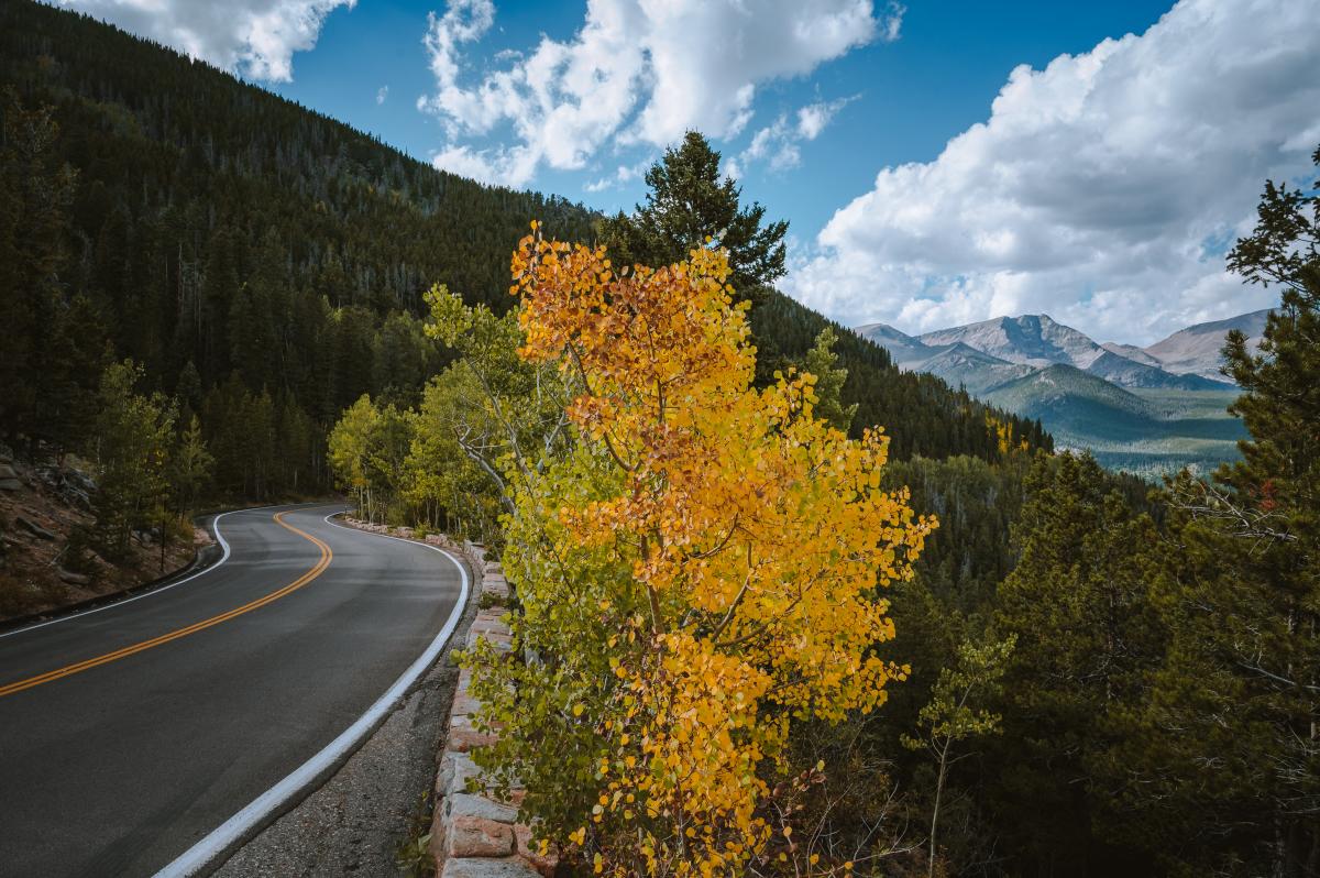 Fall- Trail Ridge