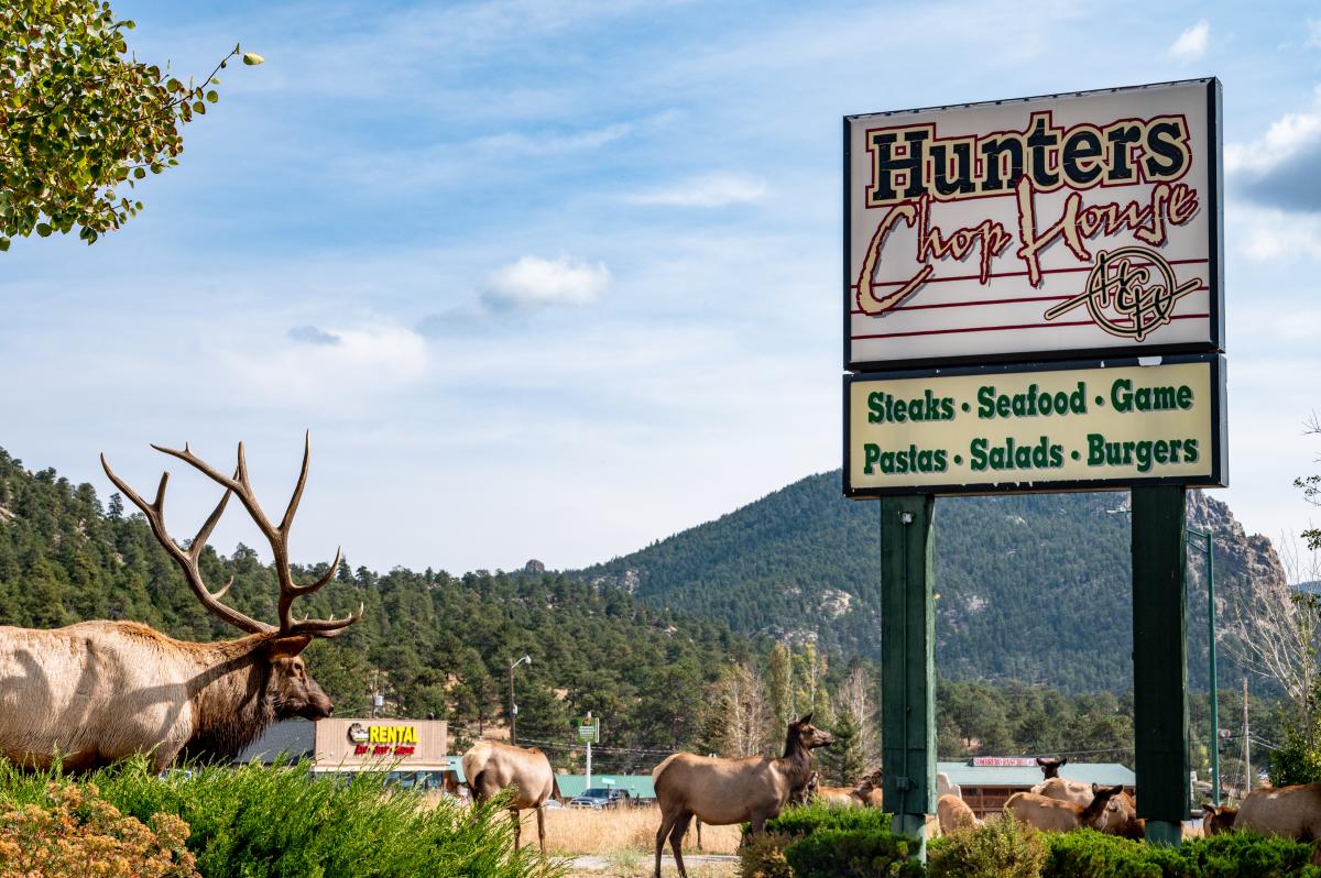 Hunters Chop House