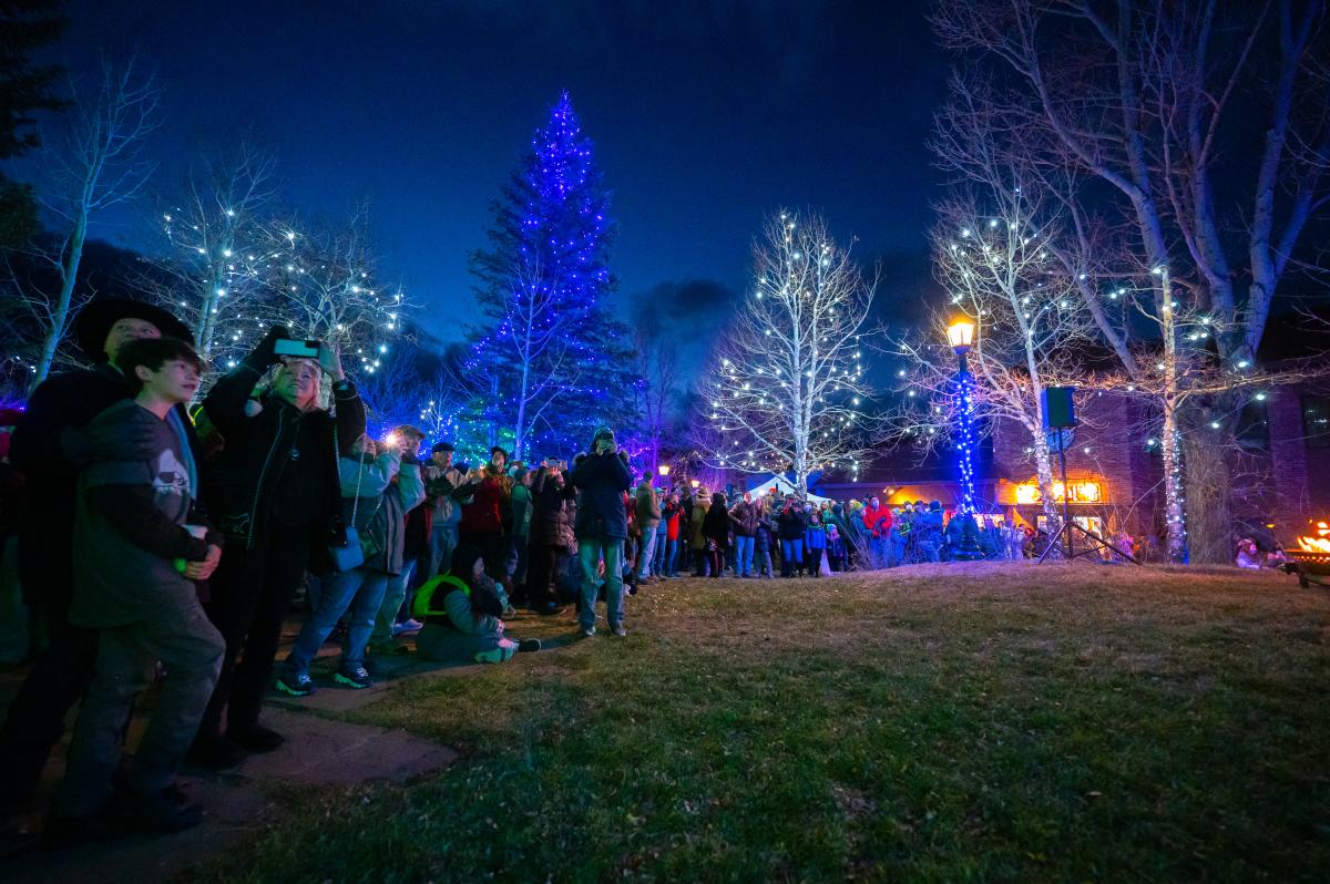 People standing in a park looking at the tree lights
