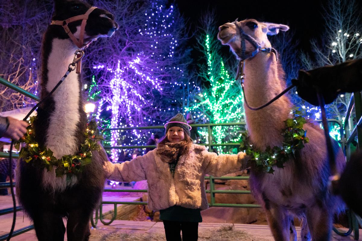 tree lighting