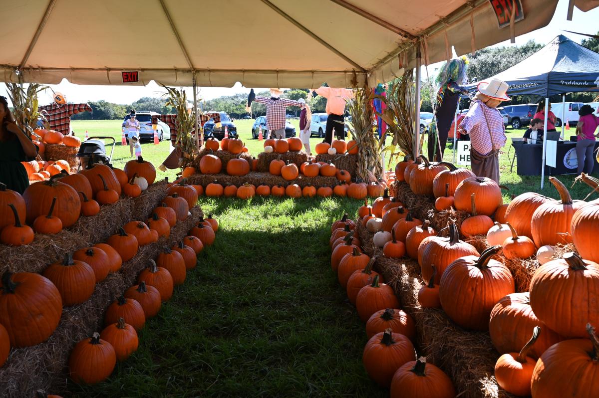 Parkland Pumpkin Patch