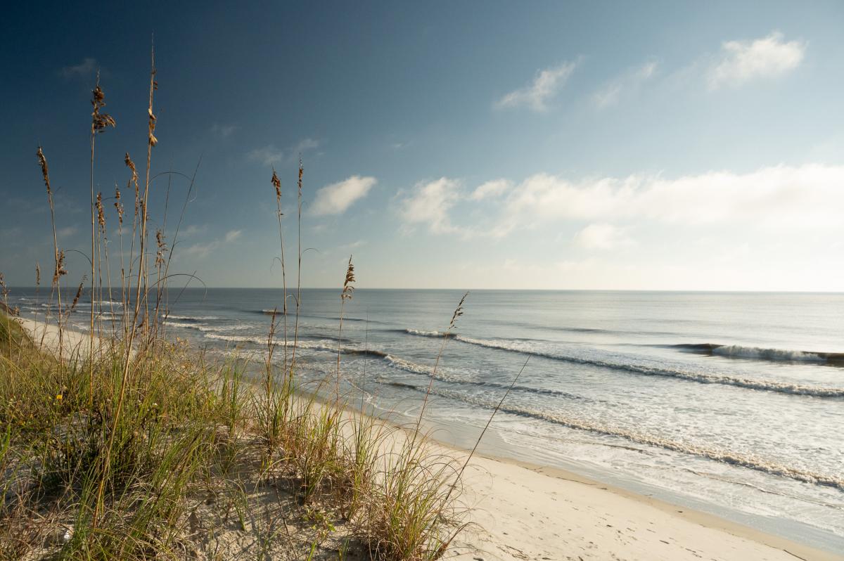 Beach in the Golden Isles