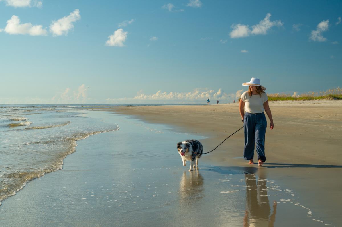 Dog on Beach