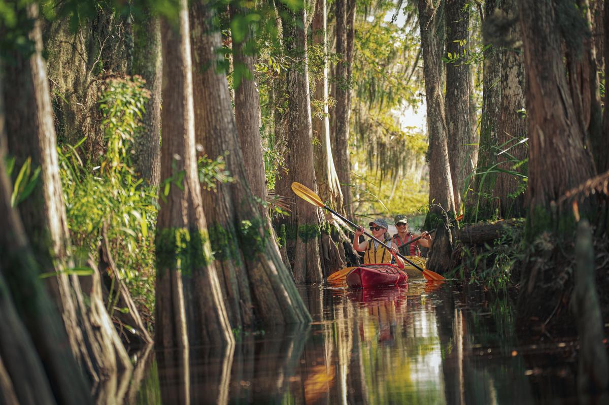 A group kayaking through the Altamaha River