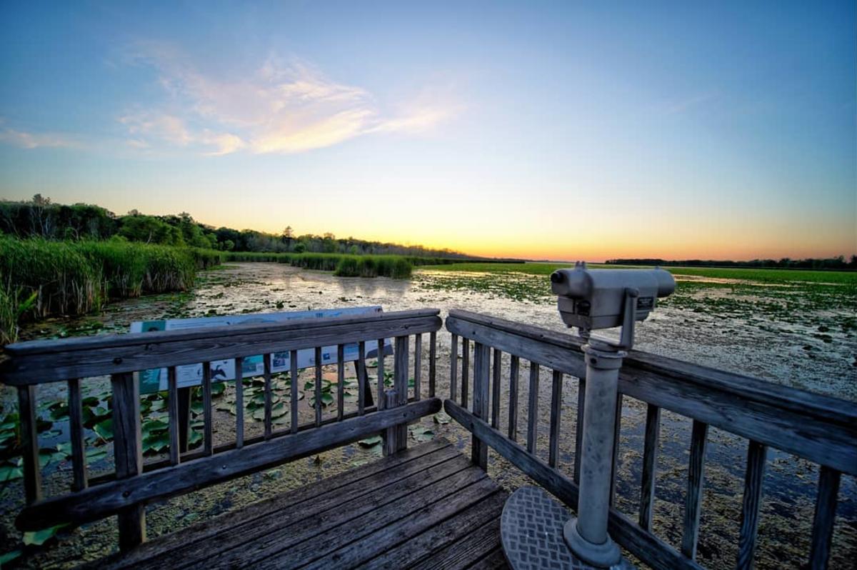 Observation deck overlooking the wetlands of Tobico Marsh at Bay City State Park