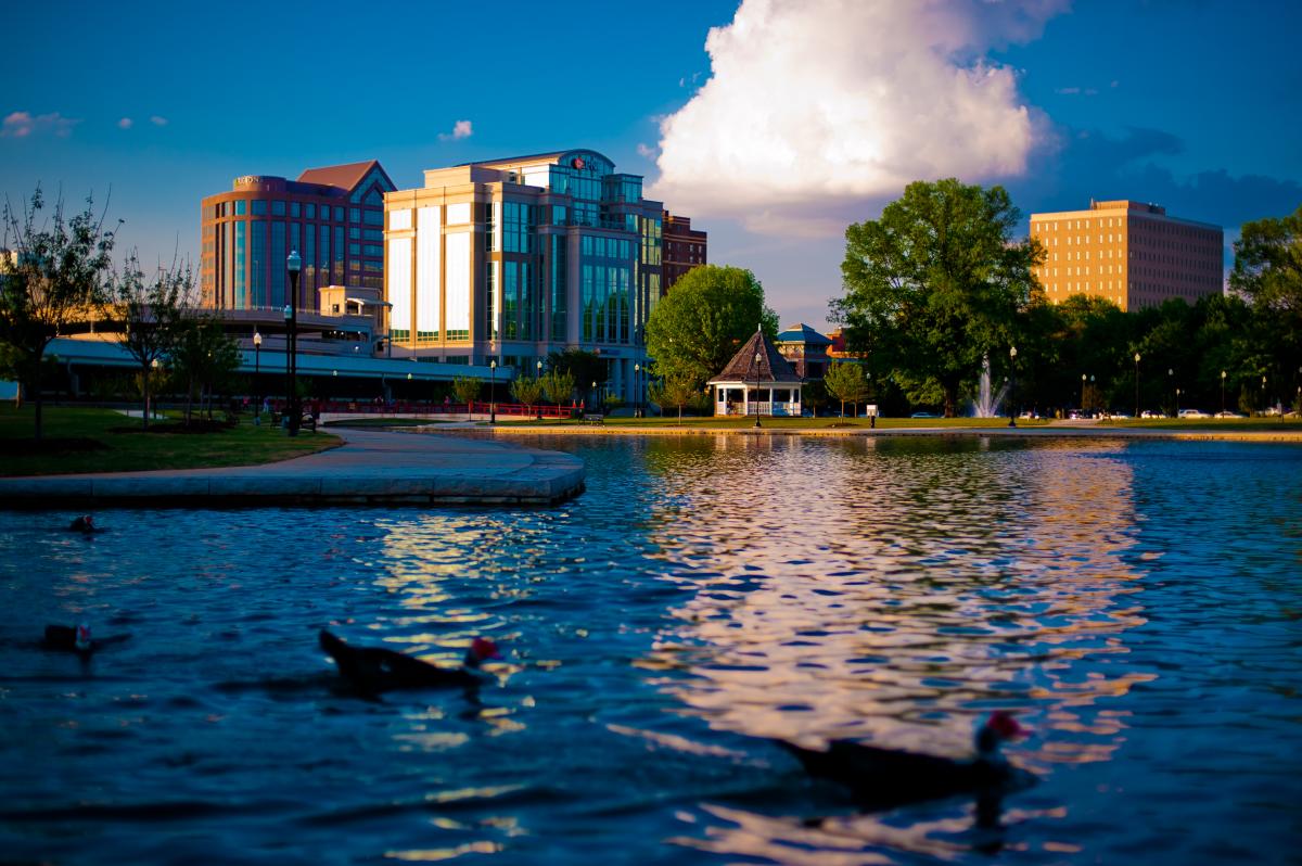 View of Downtown Huntsville ducks from Big Springs Park
