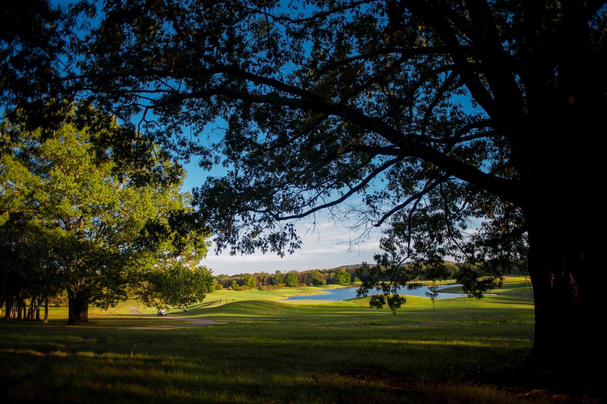 RTJ Hamton Cove Golf