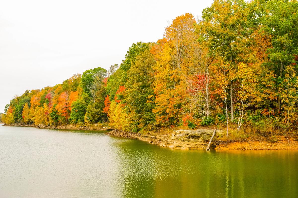 Patoka Lake Fall