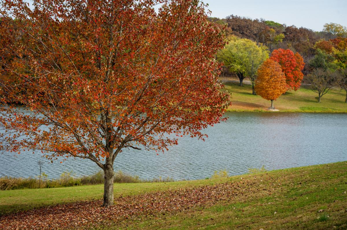 WyCo Lake