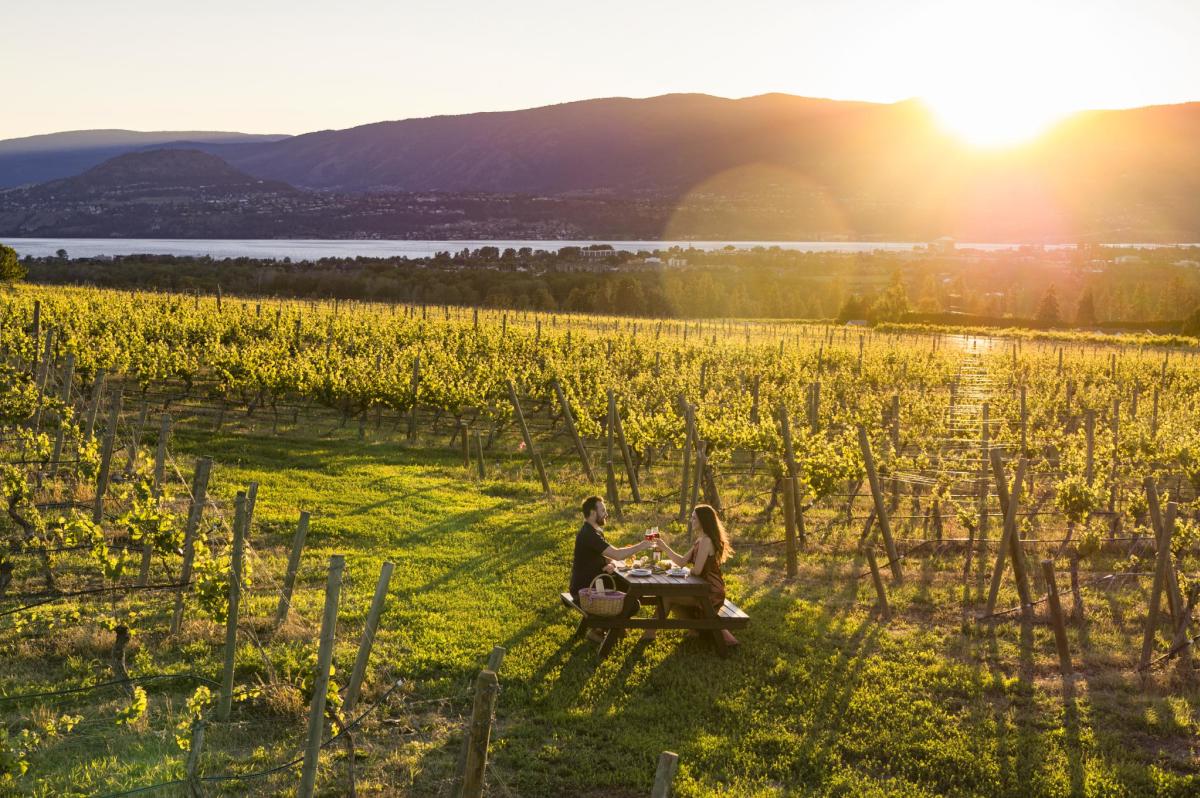 The View Winery