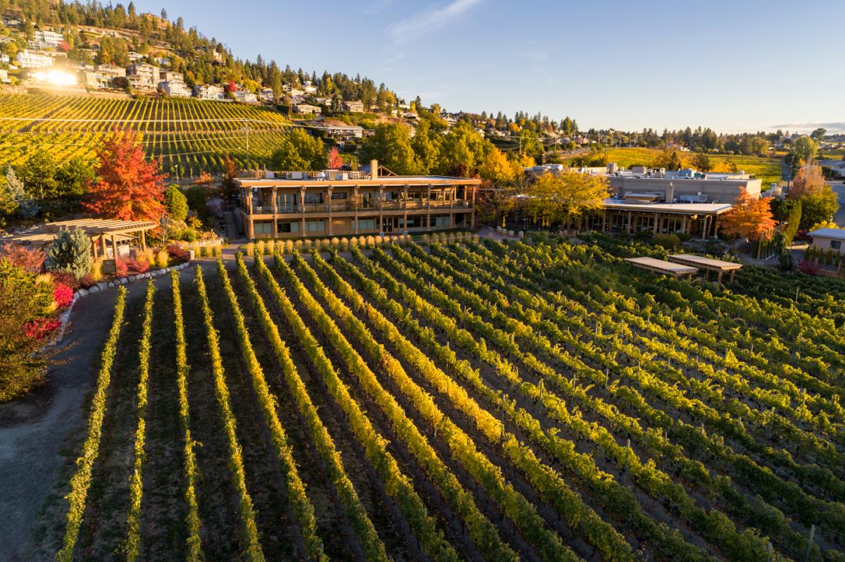 Quails' Gate Winery - 2021 Shawn Talbot