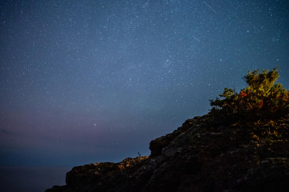 a night sky full of stars
