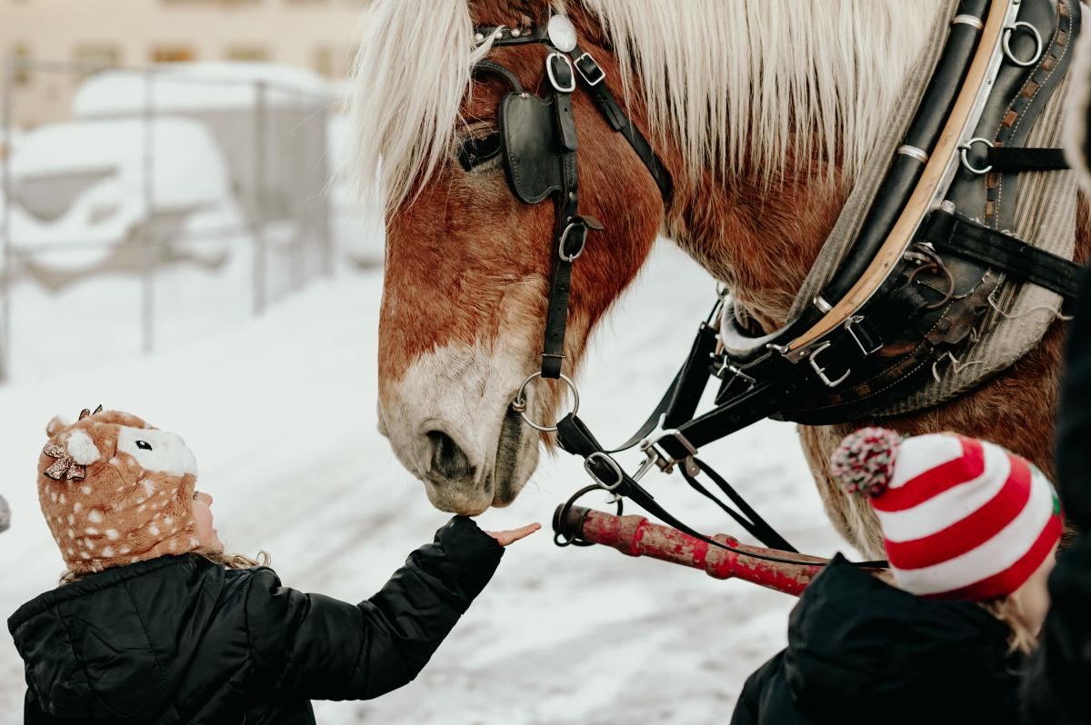 Girl interacts with horse at Christmas event in Keweenaw.