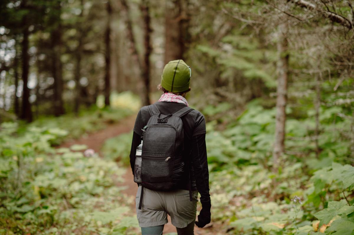 Person hikes through forest along trail on Isle Royale