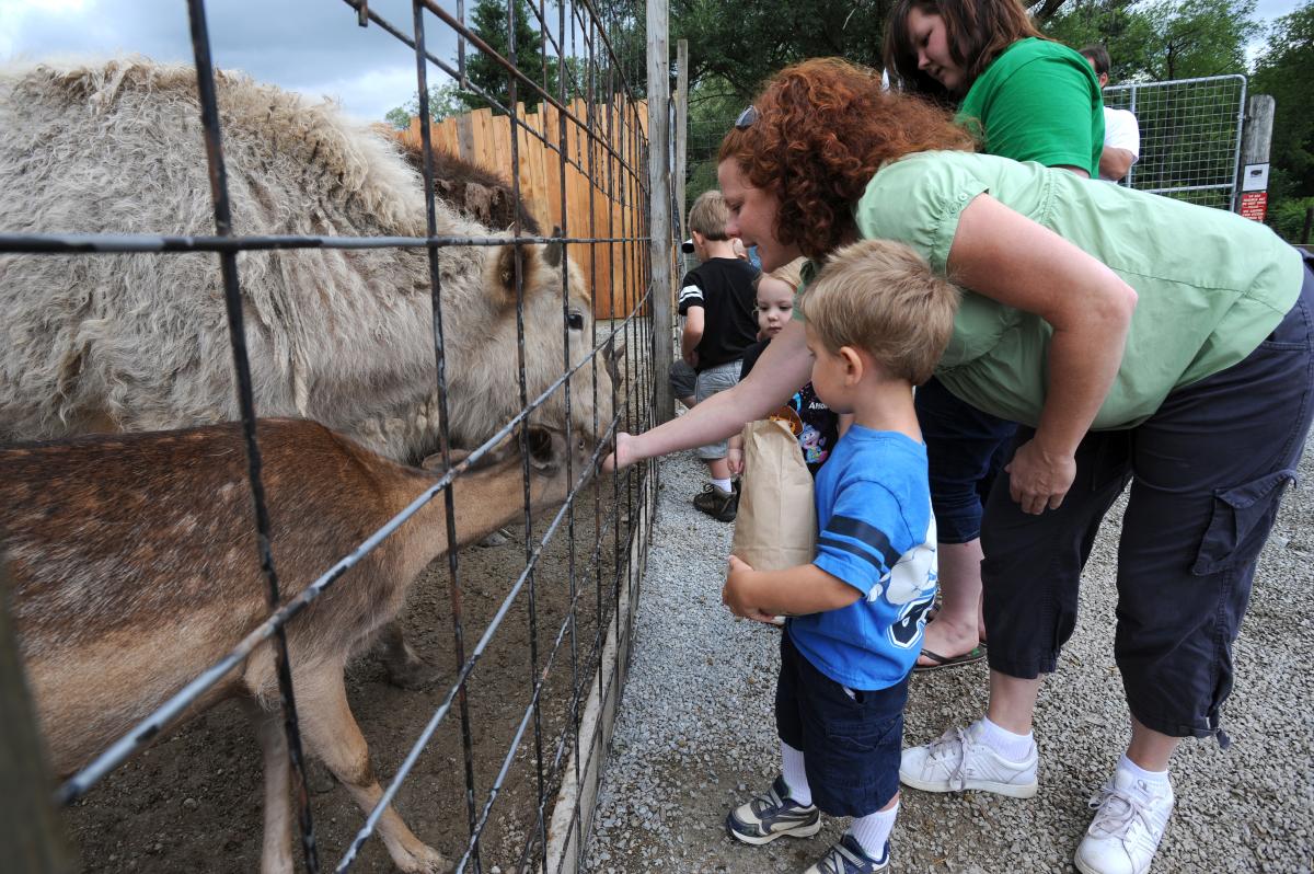 Living Treasures Wild Animal Park