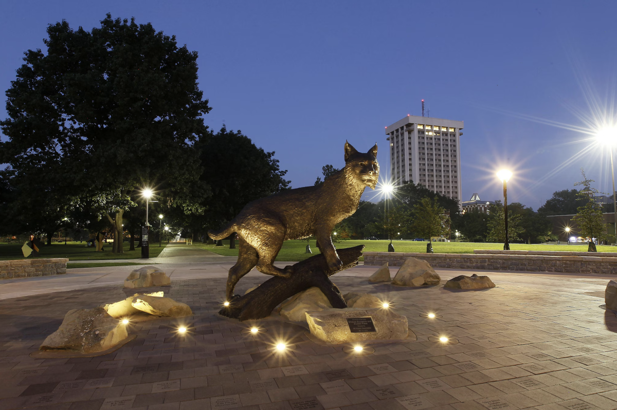 Photo of wildcat statue at night at the University of Kentucky's campus
